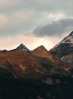pexels photo 640947 640947